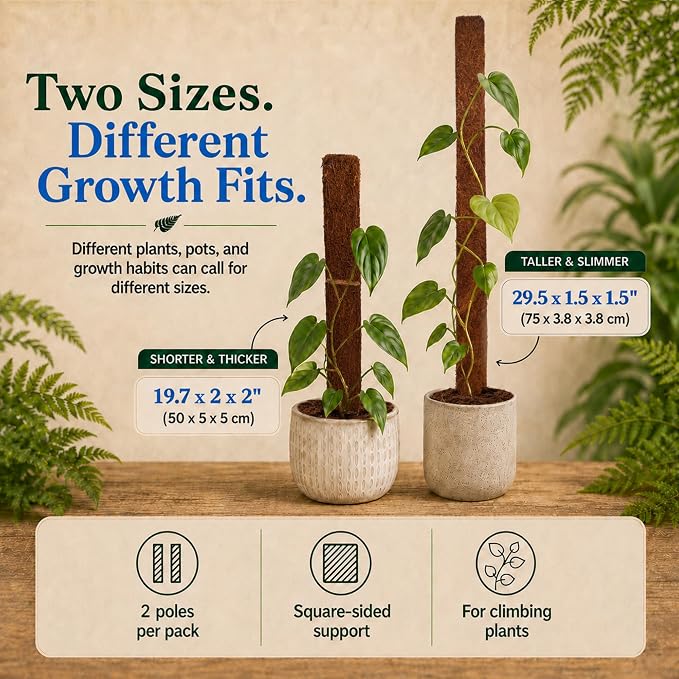 Fernwood Tree Fern Totem Pole Climbing Plant Support - 2 Pack – 19.7x2x2 | For Orchids, Aroids, and Other Climbing Plants | Indoor and Outdoor Plants | Soft, Durable, Fibrous | Natural and Sustainable