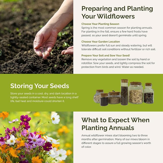 Eden Brothers All Annual Wildflower Mixed Seeds for Planting, 1/4 lb, 120,000+ Seeds with Sunflower, Indian Blanket, Scarlet Flax | Attracts Pollinators, Plant in Spring, Zones 3, 4, 5, 6, 7, 8, 9, 10
