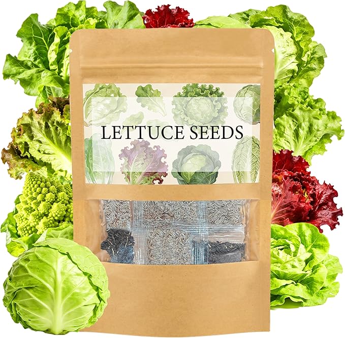 LUOJIBIE Lettuce Seeds for Planting Outdoors, Vegetable Garden Seeds, 8 Varieties Non-GMO Heirloom Lettuce Seeds (Romaine, Red Leaf, Italian, Batavian, and More) for Fresh Salad Greens (Large Pack)