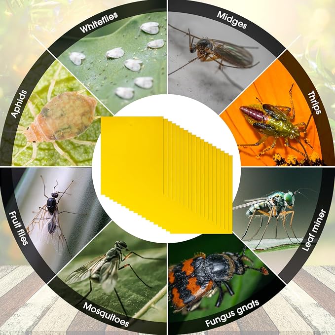 Qualirey 220 Pcs 7.87 x 9.84 Inch Yellow Sticky Traps for Plant Gnats Dual Sided Fruit Fly Sticky Traps for Indoor Outdoor with Twist Ties & Plastic Holders for Insect, Fungus Gnat, Whiteflies, Aphids