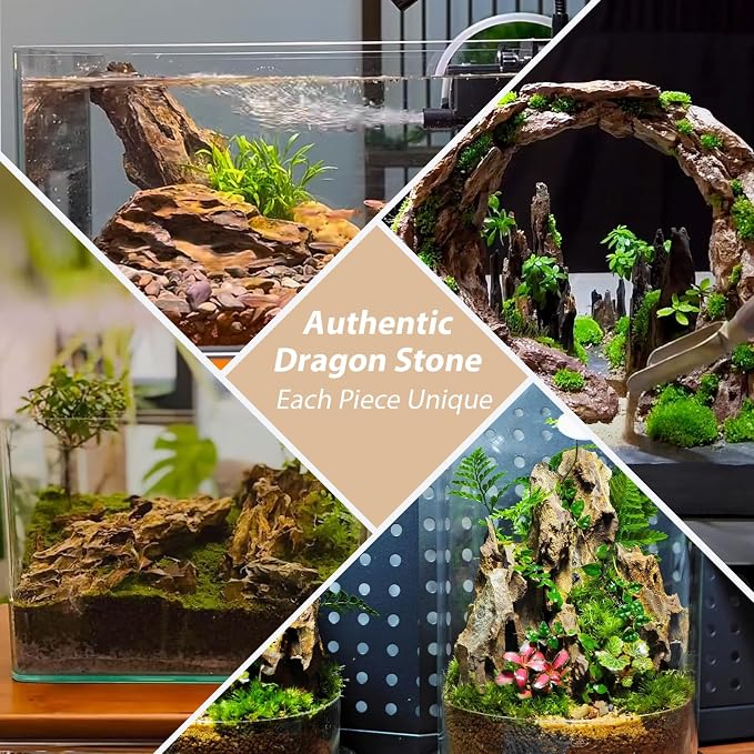 Aquarium Rocks Dragon Stone Natural Hardscape Stone for Aquariums, Fish Tanks, Bonsai, Terrariums, Wargaming Dioramas, Indoor or Outdoor Gardens-5lb(2-6 Inch)