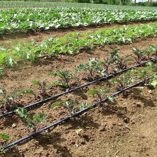 Drip Tape for Garden Irrigation-5/8, 8 mil Thick, 4 inch spacing of emitters, 1.34 GPM/100' (200 Feet)