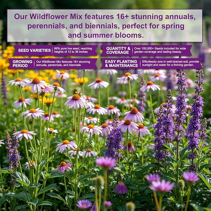 200,000+ Wildflower Seeds [4oz] 16 Variety Perennial Mix - Heirloom Seeds for Pollinator Gardens | Attracts Bees/Birds/Butterflies | High Germination Rate for Indoor & Outdoor