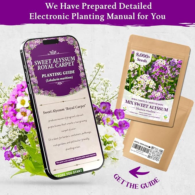 8000+ Purple & White Sweet Alyssum Seeds for Planting - Mixed Alyssum Flower Seeds, Fragrant Ground Cover for Outdoor Gardens, Borders, Containers & Rock Gardens, Attracts Bees & Butterflies