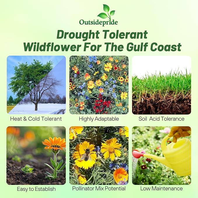 Outsidepride Gulf Coast Wildflower Seed Mix - 1/4 lb Perennial & Annual Wild Flowers for Full Sun & Partial Shade - Ideal for Pollinator Gardens & Vibrant Landscapes for Southern Florida & Texas
