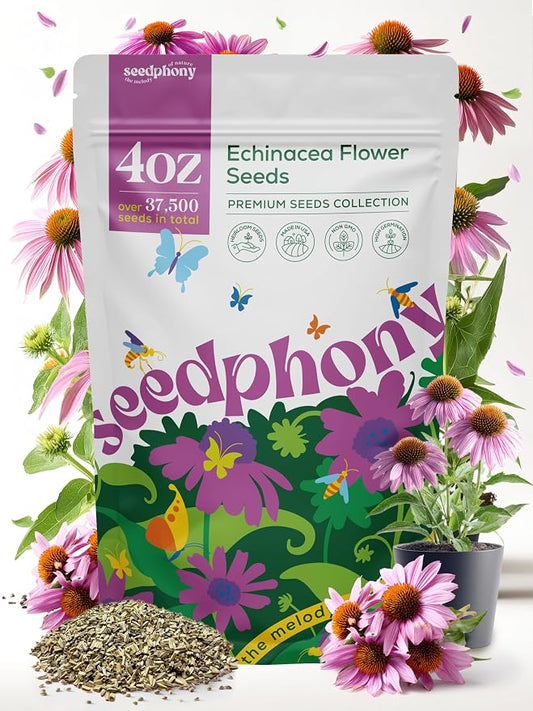 Seedphony Echinacea Seed Pack 4 oz - 37,500 Non-GMO Heirloom Echinacea Seeds for Planting, Perennial Flowers in Waterproof Seed Packet, Coneflower Seeds for Planting Garden Indoor & Outdoor Gardening