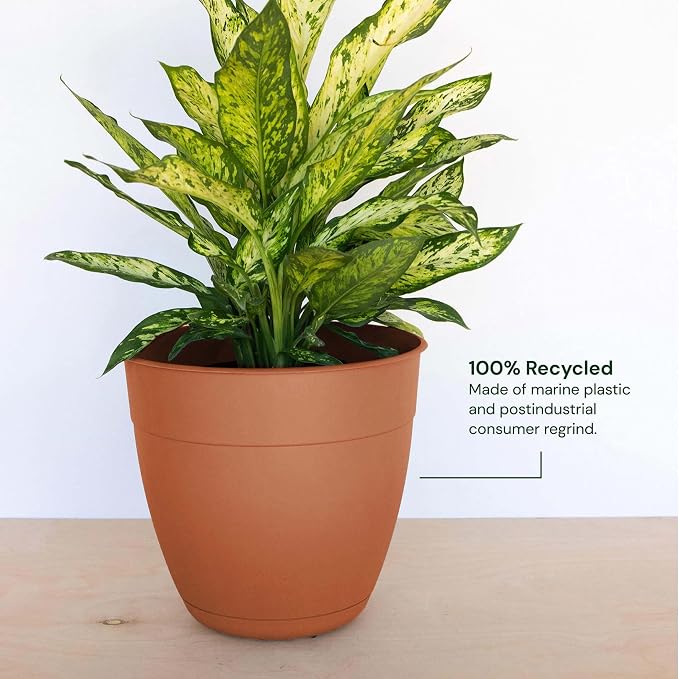 Bloem Dayton 6" Plastic Planter - 100% Recycled Plastic Indoor/Outdoor Garden Pot with Drainage Holes & Saucer Tray, Terra Cotta