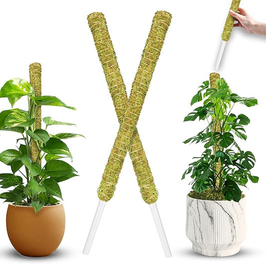 DUSPRO Natural Stackable Moss Pole for Plants Monstera, Forest Moss Sticks, Monstera Plant Support, Handmade Plant Stakes for Indoor Plants for Potted Plant to Grow Upward 02 pcs 22''