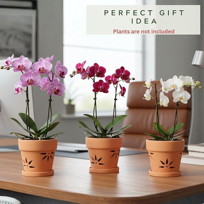 Handmade 3 Pack 6 inch Terracotta Orchid Pots with Holes and Saucers, Clay Orchid Planter Pots for Repotting, Small Terra Cotta Vase, Ceramic Plant Flower Pot Indoor Outdoor