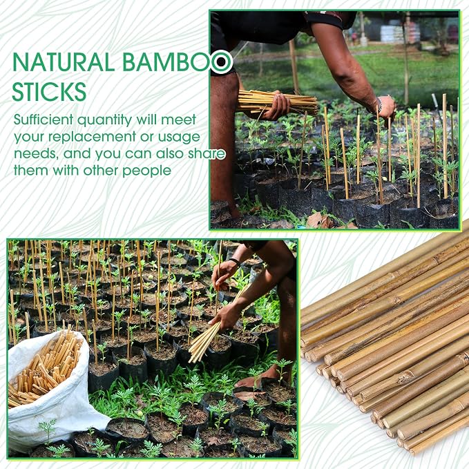 Suclain 30 Pcs Bamboo Plant Stakes Natural Garden Support Sticks for Climbing Plants Sturdy Bamboo Garden Stakes for Tomato, Beans, Flowers and Potted Plants, Vegetables, Indoor & Outdoor (1.35 ft)