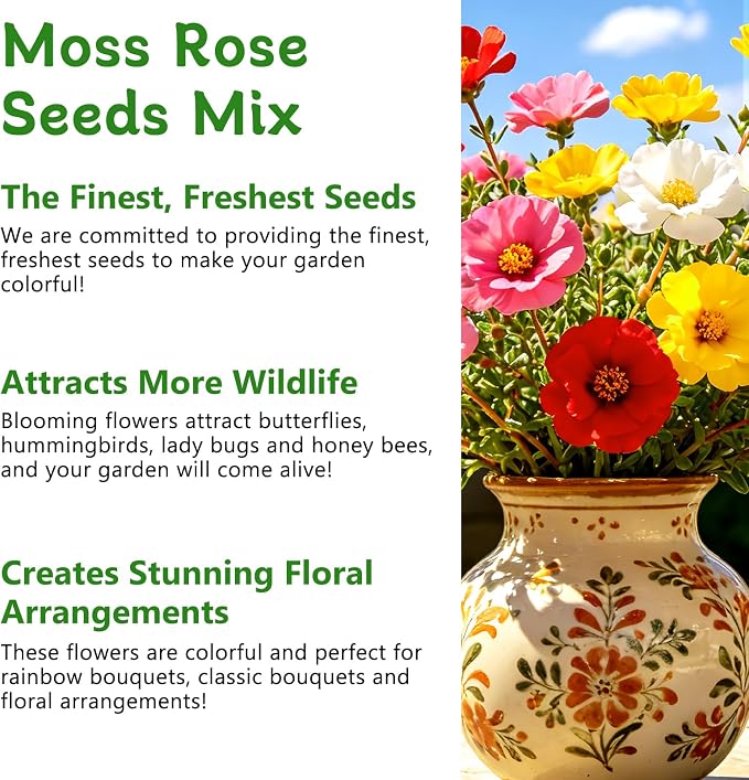 Moss Rose Seeds, 40,000+ Bulk Flower Seeds for Planting Outdoors(99% Pure Live, Non-GMO), Mixed Colors and Large Blooms, Attracts Pollinators, Easy to Grow