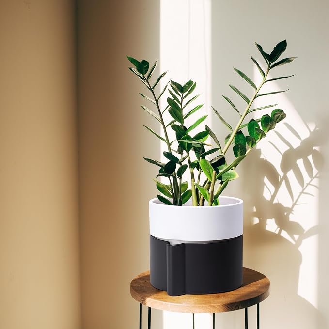 Phoenix Vine 6.5 Inch Self-Watering Planter Pot with Terracotta Insert, Deep Water Reservoir, and Ceramic-Alike BPA-Free Plastic Pot for Plant, Modern Planter for Houseplants, Black/White, 53-C-S-7