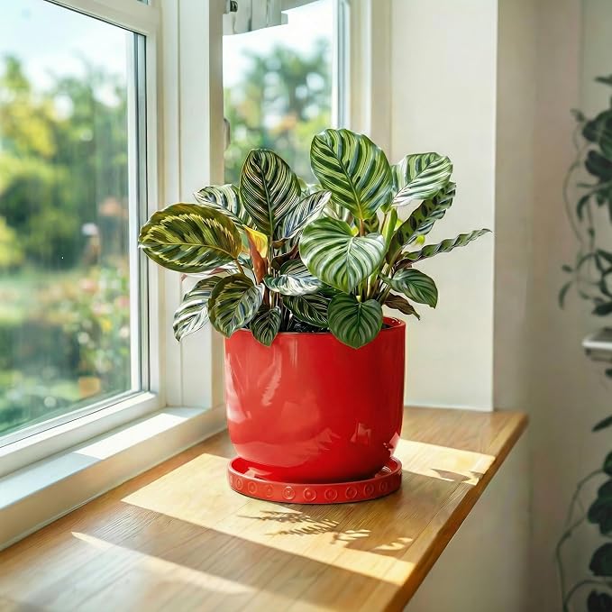 Eightpot Plant Water Catcher Tray, 5.6 Inch Plant Trays for Pots, Round Flower Pot Saucers for Indoor Outdoors, Boho Ceramic Plant Saucer, Decorative Plants Plates to Catch Water, Plants Dish, Red