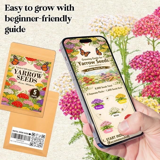 8000+ Yarrow Seeds for Planting - 5 Packs Colors Mixed, Achillea Millefolium Perennial Wildflower, White, Gold, Red, Pink, Purple, Separate Packets 1600 Each, Attracts Bees & Butterflies