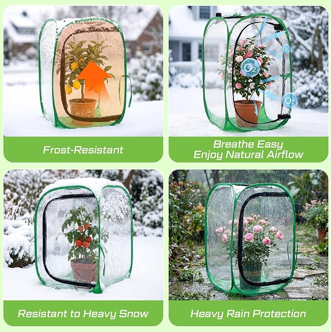 2 Pack Pop up Plant Greenhouse Cover Foldable Mini Clear Greenhouse 15.7" x 15.7" x 23.6" PVC Small Portable Plants Cover Accelerator for Indoor Outdoor Vegetable Fruit Garden Protecting
