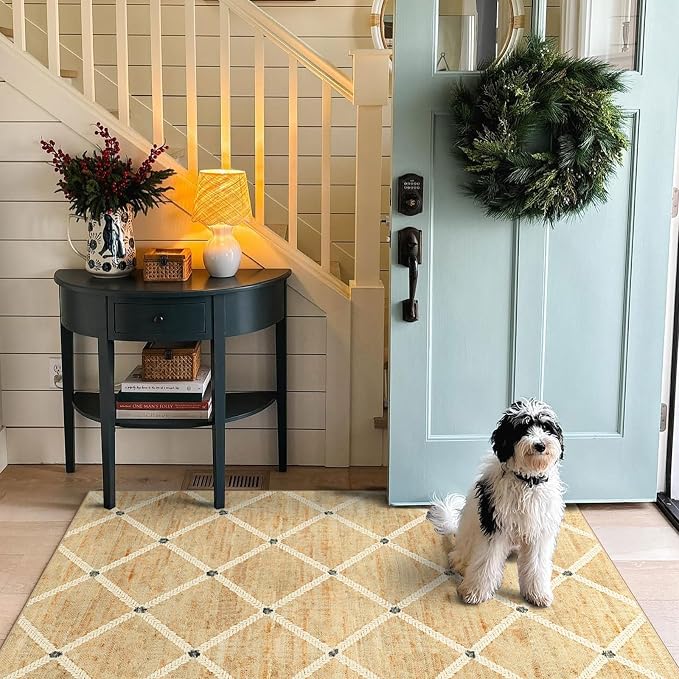 Cottage Trellis 3x5 Entryway Rug Indoor Outdoor Mats for Front Door | Washable Non-Slip Porch Rug Farmhouse Woven-Look Throw Rugs for Entryway Bedroom Office Kitchen Mat for Floor Porch Decor