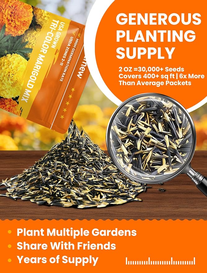 Tri-Color Marigold Seeds Bulk - 30,000+ Heirloom Flower Seeds for Planting Outdoors, 2oz Dwarf French Marigolds, Pollinator Magnet with High Germination, Quick Blooming