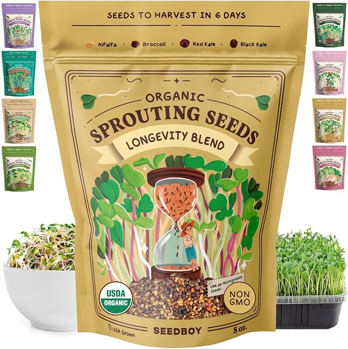 Seedboy Organic Non-GMO Sprouting Seeds, Longevity Blend - USA Grown Microgreens Mix with Broccoli, Red Kale, Black Kale, Alfalfa - 8 oz Bag Makes 8 Quarts / 32 Servings (Longevity Blend)