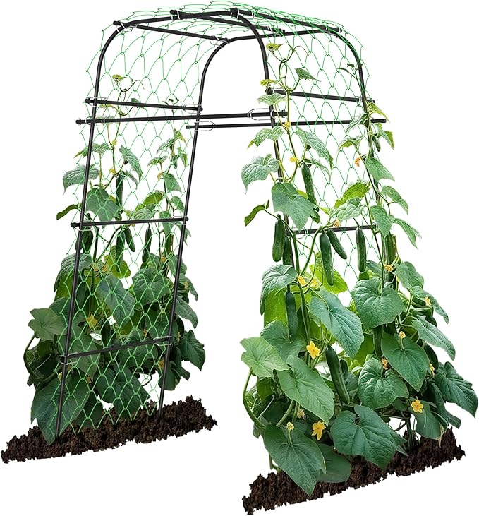AlisisFores Garden Arch Plant Trellis for Climbing Plants Outdoor, Grape Trellis Metal, Cucumber Trellis for Raised Bed, Arbor Trellis Plant Support Flower Vegetables,Tomato Black,6.7FT Rust-Proof