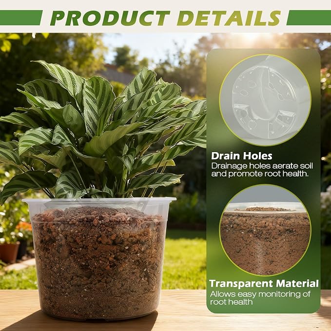8 Inch Large Size Clear Nursery Pots with Drainage Holes, 10 Packs Plastic Pots for Plants, Transparency Durable Seedling Starter Pot for Succulents Flowers Herb Vegetables