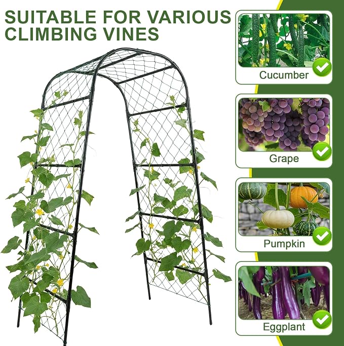 Extra Tall Garden Arch Trellis for Cucumber, Heavy-Duty Rust-Resistant Powder-Coated Steel, Vertical Support for Large Vining Vegetables (47”W x 79”H)