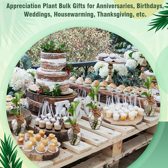 Baderke 12 Pack Big 10oz Plastic Plant Propagation Stations with Hole Lid Planter Vase Clear Propagation Jars with Thank You Tags for Plant Lover Gifts for Women Office Home Garden