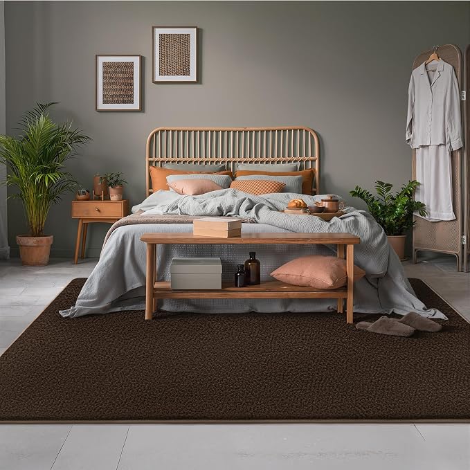 AROGAN 4x6 Area Rugs for Living Room Non Slip Dorm Bedroom Rug, Coffee | Modern Area Rugs with Soft Memory Foam, Minimalist Washable Indoor Floor Carpet for Dining Room Office Kids Playroom Decor