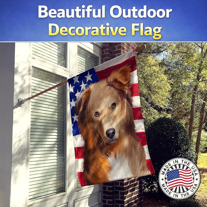 Caroline's Treasures CK6418CHF Basque Shepherd Dog American Flag House Flag Large Porch Sleeve Pole Decorative Outside Yard Banner Artwork Wall Hanging, Polyester, House Size, Multicolor