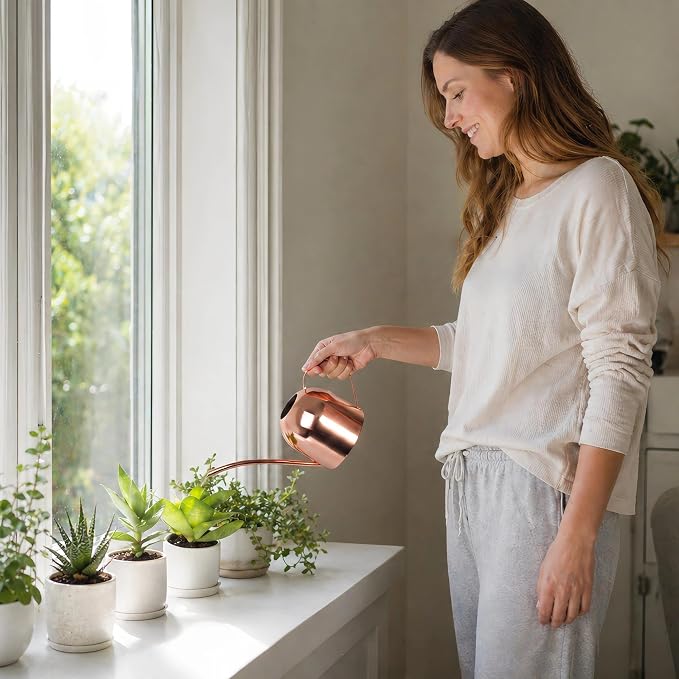 IMEEA Indoor Watering Can for House Plants 33oz/1L Stainless Steel Watering Can with Long Spout for Succulents, Bonsai