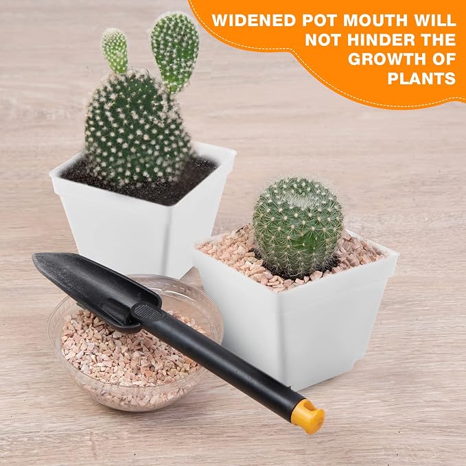 Amyhill 100 Pcs 4 Inch Flower Pots Square Plants Nursery Pot Plastic Plant Seedling Pots Small Nursery Transplanting Planter Container with Saucer for Indoor Succulent Balcony Garden (White)