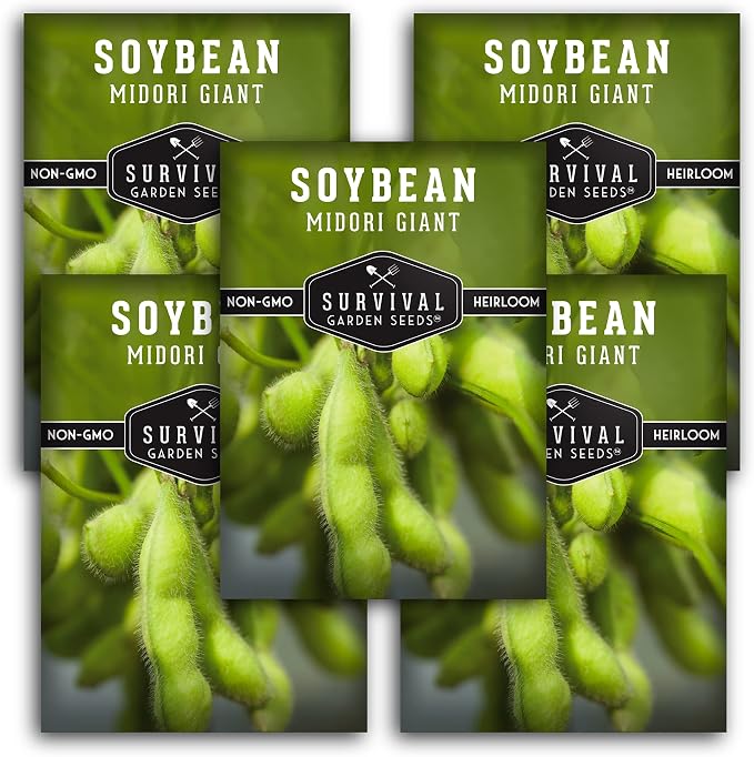 Midori Giant Edamame Seeds for Planting - Large Heirloom Soybean Variety with Tender Green Pods - Non-GMO Protein-Rich Vegetable - Survival Garden Seeds (1 Pack)