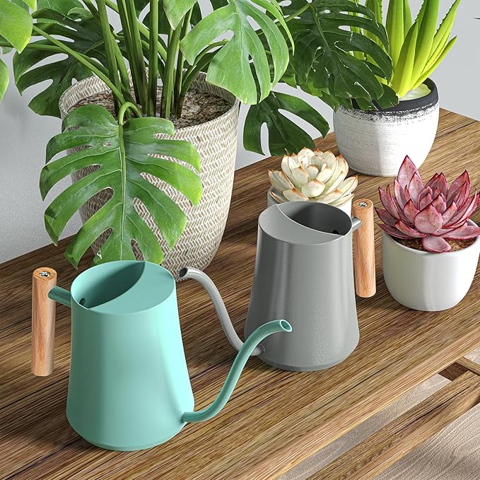 Green Moon 1L/35oz Metal Watering Can Indoor with Long Spout, Gray | Metal Stainless Steel Watering Can with Wood Handle for Indoor Plants, House Bonsai, Succulents, and Outdoor Garden Flowers