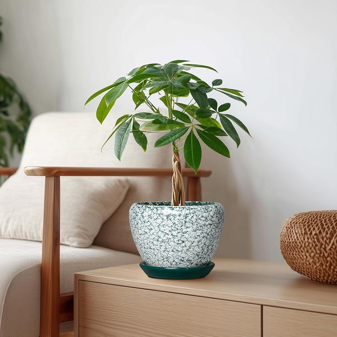 Ceramic Plant Pot, 6 Inch, Crackle Green | Round Succulent Pot, Drainage Hole and Saucer, Modern Decorative, Bathroom Decor, House Warming Gift