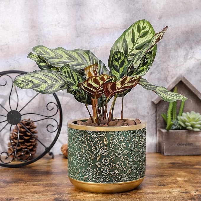 6 +4.4 Inch Cement Planter Decorative Pots with Drainage Hole for All House Plants, Succulents, Flowers, and Cactus (Green)