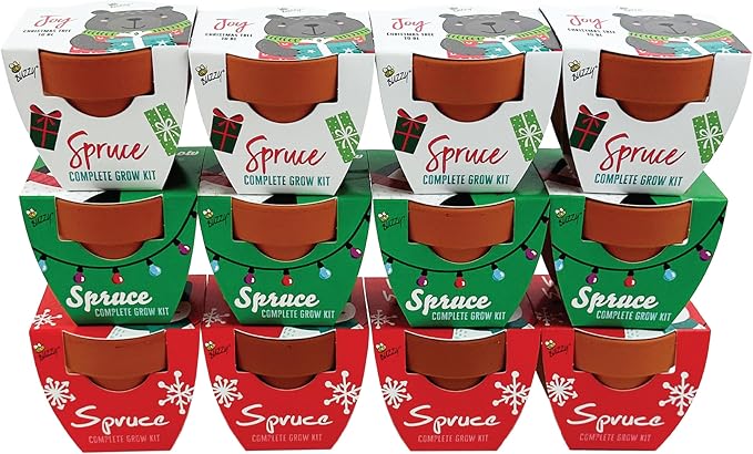 BUZZY Seeds Holiday Mini Spruce Grow Kit 12-Pack - Mini Terracotta Pot Grow Set - Complete Indoor/Outdoor Gardening Kit with Seeds, Coconut Husk Growing Medium & Genuine Pots - 100% Grow Guarantee