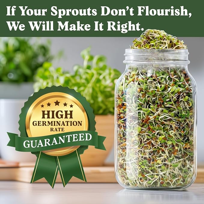 Seedboy Organic Non-GMO Sprouting Seeds, Longevity Blend - USA Grown Microgreens Mix with Broccoli, Red Kale, Black Kale, Alfalfa - 8 oz Bag Makes 8 Quarts / 32 Servings (Longevity Blend)