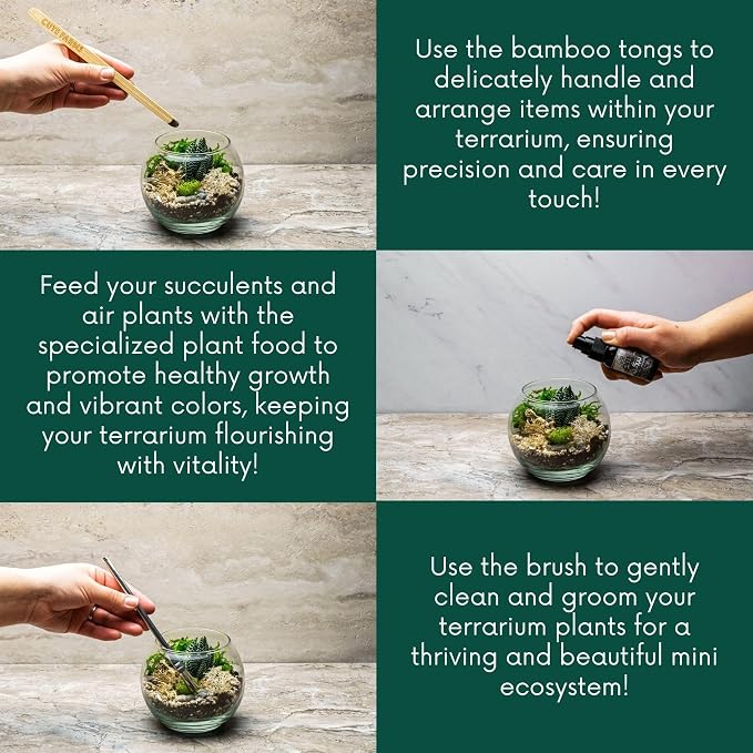 Cute Farms Terrarium Starter Kit | Moss, Vermiculite, Soil, Pebbles, Plant Food, Finishing Tools, Build and Care Guide | DIY Succulent Terrarium for Adults and Kids (Medium)