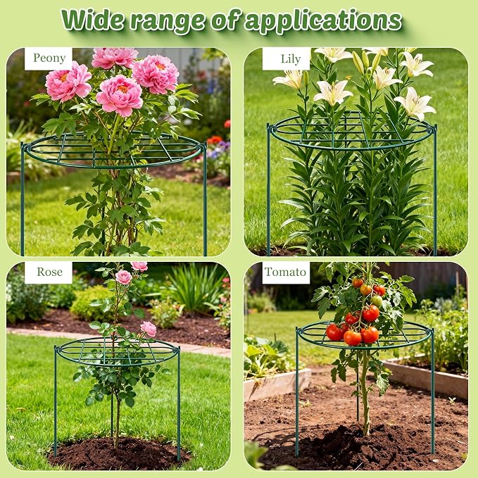 6 Pack 16 x 24 inch Peony Cages and Supports,Metal Grow Through Plant Supports for Outdoor Plants,Flowers Support Rings Top-Heavy Plant Brace Support Hoop for Vegetables,Rose,Tomato,Orchids