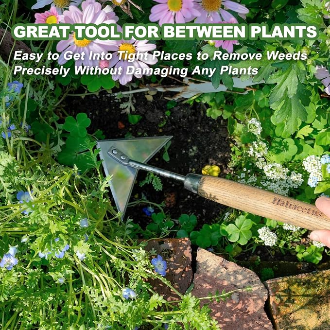 Haliaeetus Triangle Head Hoe, 15'' Scuffle Hoe for Weeding Precisely in Raised Bed, Stainless Steel Rogue Hoe for Weeding in Push-Pull Motion, Push Pull Hoe with Compact Size for Weeding Between Plant