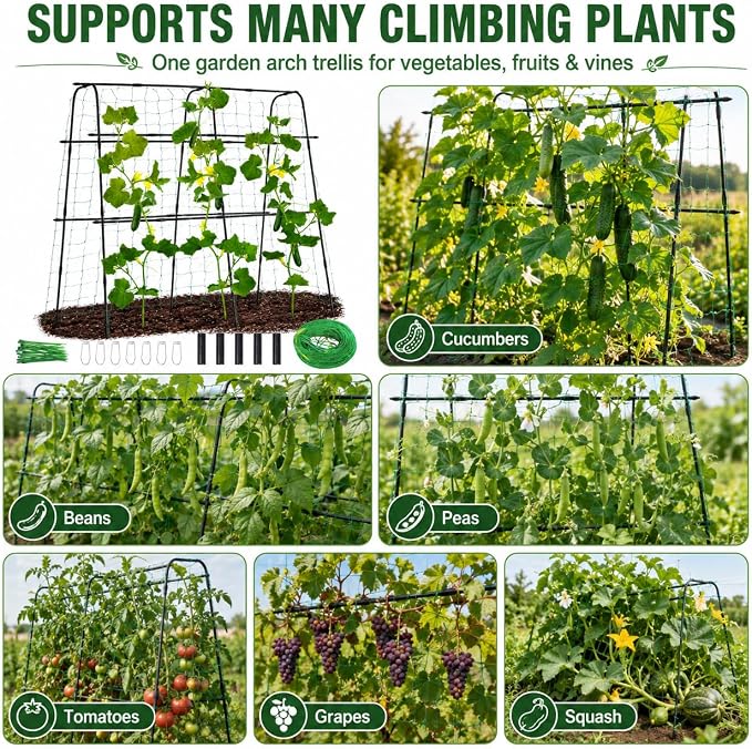 63x63 Cucumber Trellis for Raised Garden Bed, Garden Arch Trellis for Climbing Plants Outdoor, Metal Tomato Cage with Netting, Adjustable Plant Trellis for Tomatoes, Cucumbers, Beans, Peas,Black