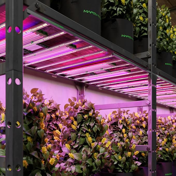 MARS HYDRO ADlite Red30 & Blue30 Led Grow Light for Indoor Plants, 30Wx2 Grow Lights, Deep Red and Blue Spectrum supplemental Light 3x3 FT Coverage Commercial Grow Light Bars or Home Gardening