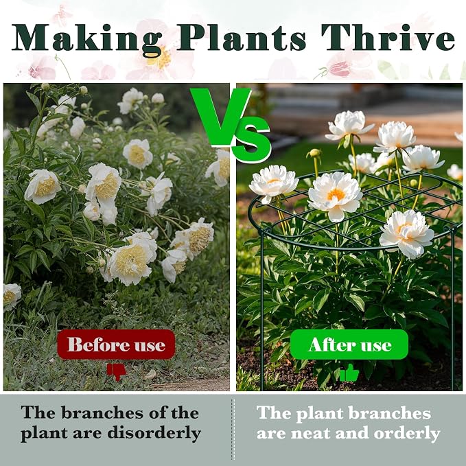 3 Pack 24 x 29.5 Inch Peony Cages and Supports Grow Through Plant Grid Support,Metal Plant Brace Support Peony Rings Hoops for Outdoor Plants Vegetables,Rose,Tomato,Orchids