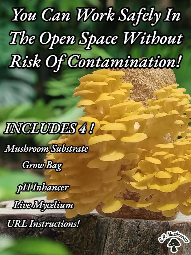 Four All in One Mushroom Grow Kits with Yellow, Blue, Florida, and Pink Oyster, Complete Cultivation Set