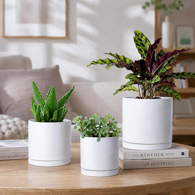 D'vine Dev White Terracotta Pots for Plants, 4.2 Inch 5.3 Inch 6.5 Inch, Succulent Planter Pot with Drainage and Saucer, 40-T-A-1