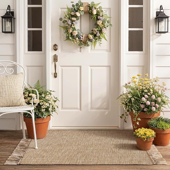 2' x 4.3' Indoor Outdoor Rug, Modern Farmhouse Kitchen Runner Rugs | Boho Hand-Woven Bathroom Mat, Soft Washable Front Door Mats, Low Profile Entry Rug for Laundry Bedroom Porch Decor, Tan/Cream