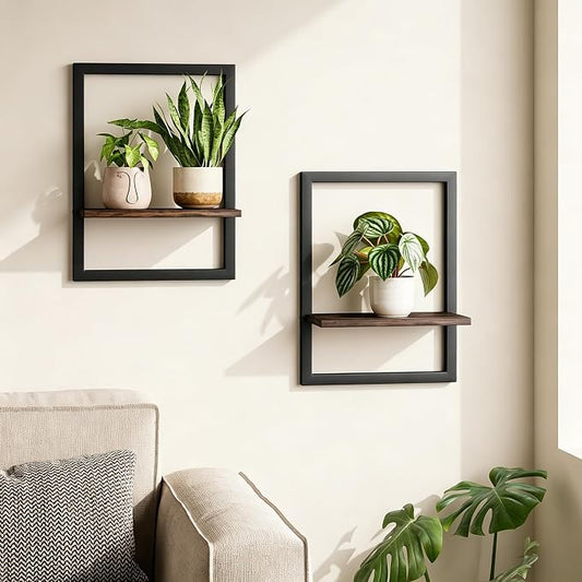 Bamworld Wall Plant Holder Hanging Planters for Indoor Plants Frames Decor Wall Planters for Small Pots Floating Shelves for Living Room Window