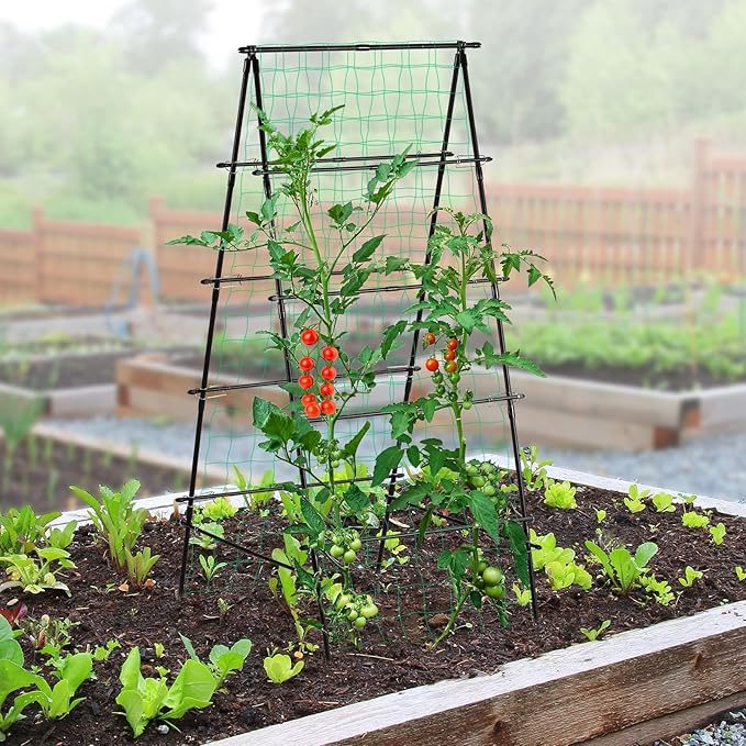 Cucumber Trellis for Raised Garden Bed, 71" H x 32" W A Frame Garden Trellis for Climbing Plants Outdoor, Metal Climbing Vine Plant Support Fruits Vegetables Tomato Peas Beans Trellis, Black
