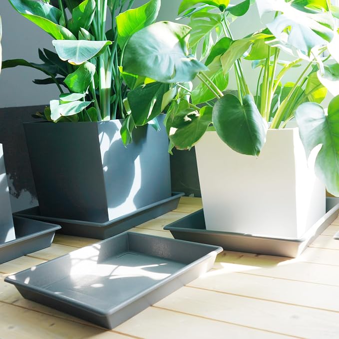 NIMYAU Square Plant Saucer 12 Inch 5 Pack, Plant Stand Plant Trays for Pots Heavy Duty Gray Plastic Plant Saucers for Indoors Outdoors, Flower Pot No Holes Plant Lover Gardening Gifts