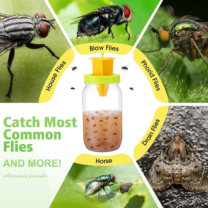 6 Pack Fly Traps Outdoor, Reusable Fly Catcher Bottles with Bait Hanging Flies Traps with Non-Toxic Dissolvable Bait Refills for Flying Insect Drain Patio Garden Yard Barn Outdoor