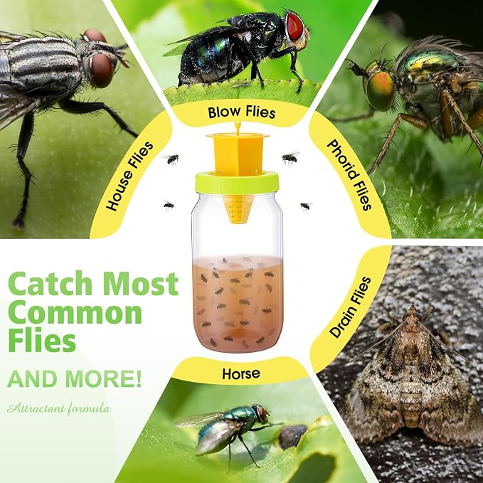12 Pack Fly Traps Outdoor, Reusable Fly Catcher Bottles with Bait Hanging Flies Traps with Non-Toxic Dissolvable Bait Refills for Flying Insect Drain Patio Garden Yard Barn Outdoor